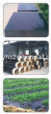 Chine Déshydratation Masterbatch éliminant le recyclage de l'eau HDPE efficacement PE-200 fournisseur