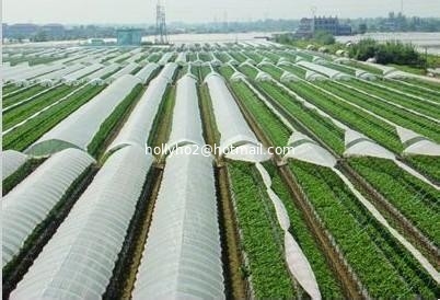 Masterbatch de haute qualité de la Chine, film de remplissage agricole fournisseur